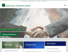Tablet Screenshot of escuraconsulting.com